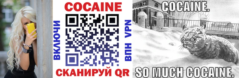 COCAIN 98%  Дигора 