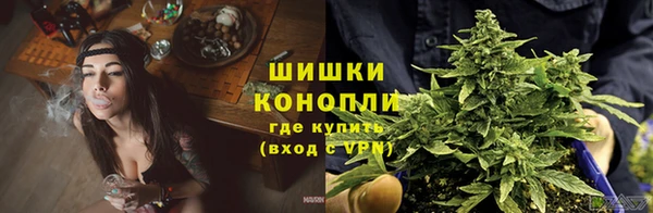 МДПВ Струнино