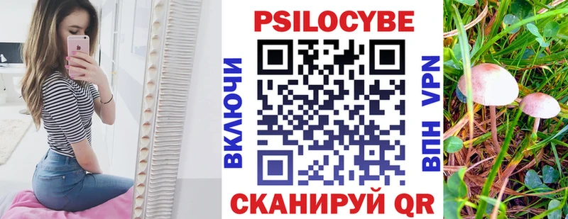 как найти   Дигора  Галлюциногенные грибы прущие грибы 